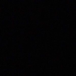 Meet your Posher, Nikita